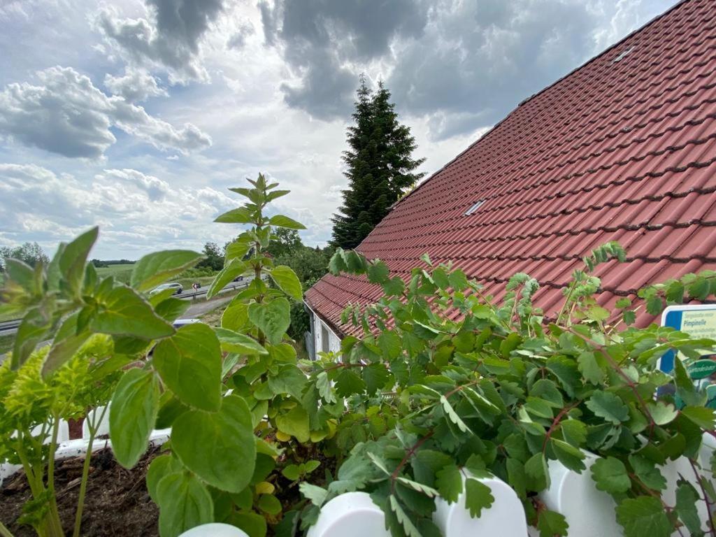 Ferienwohnung Familienhof Müritz Klein Plasten Exterior foto