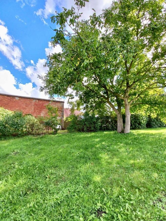 Ferienwohnung Familienhof Müritz Klein Plasten Exterior foto