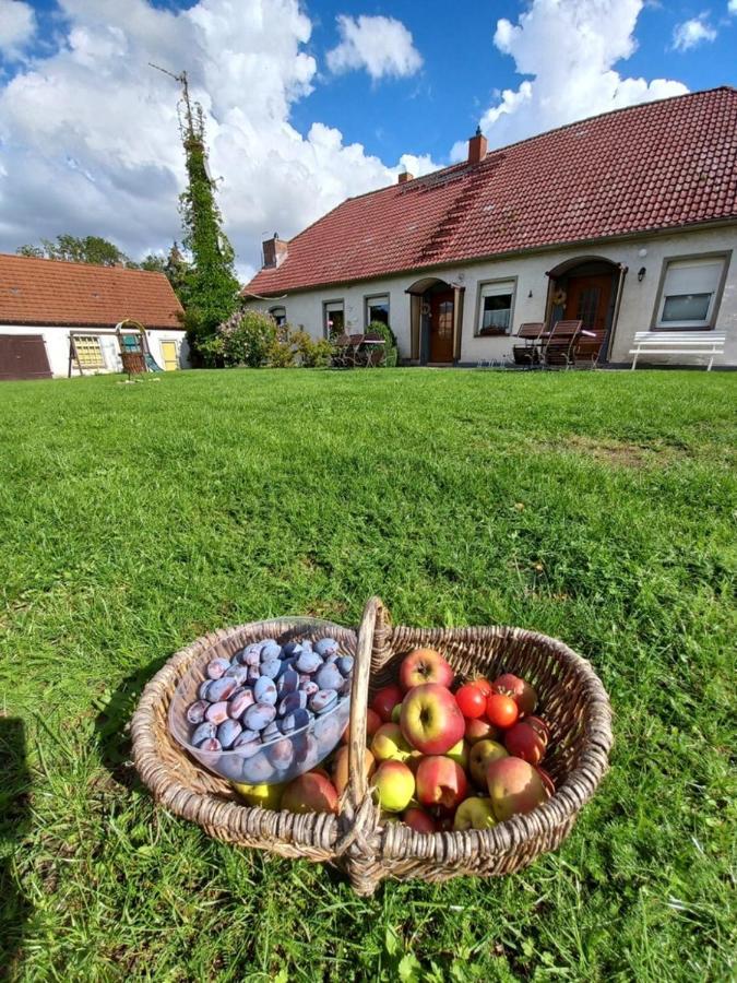 Ferienwohnung Familienhof Müritz Klein Plasten Exterior foto