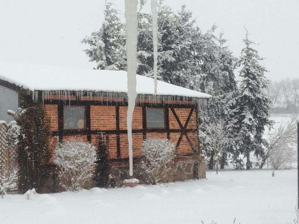 Ferienwohnung Familienhof Müritz Klein Plasten Exterior foto