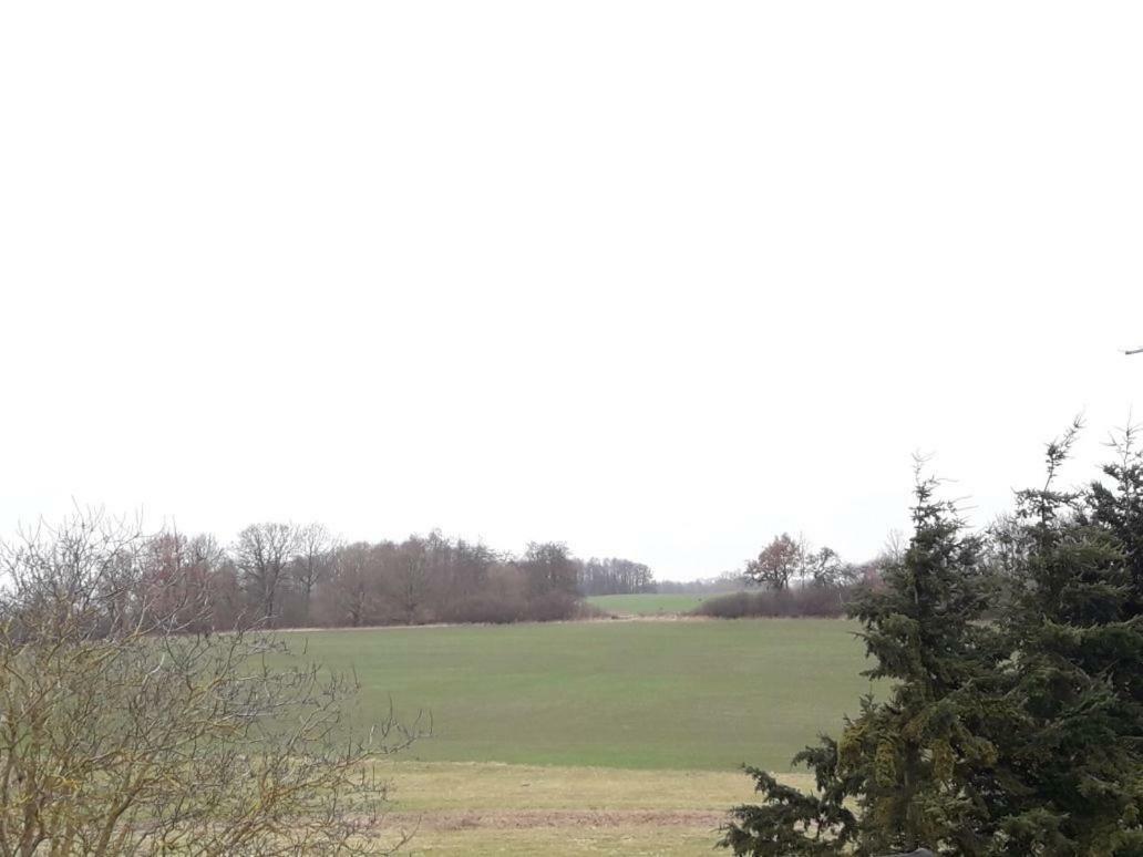Ferienwohnung Familienhof Müritz Klein Plasten Exterior foto